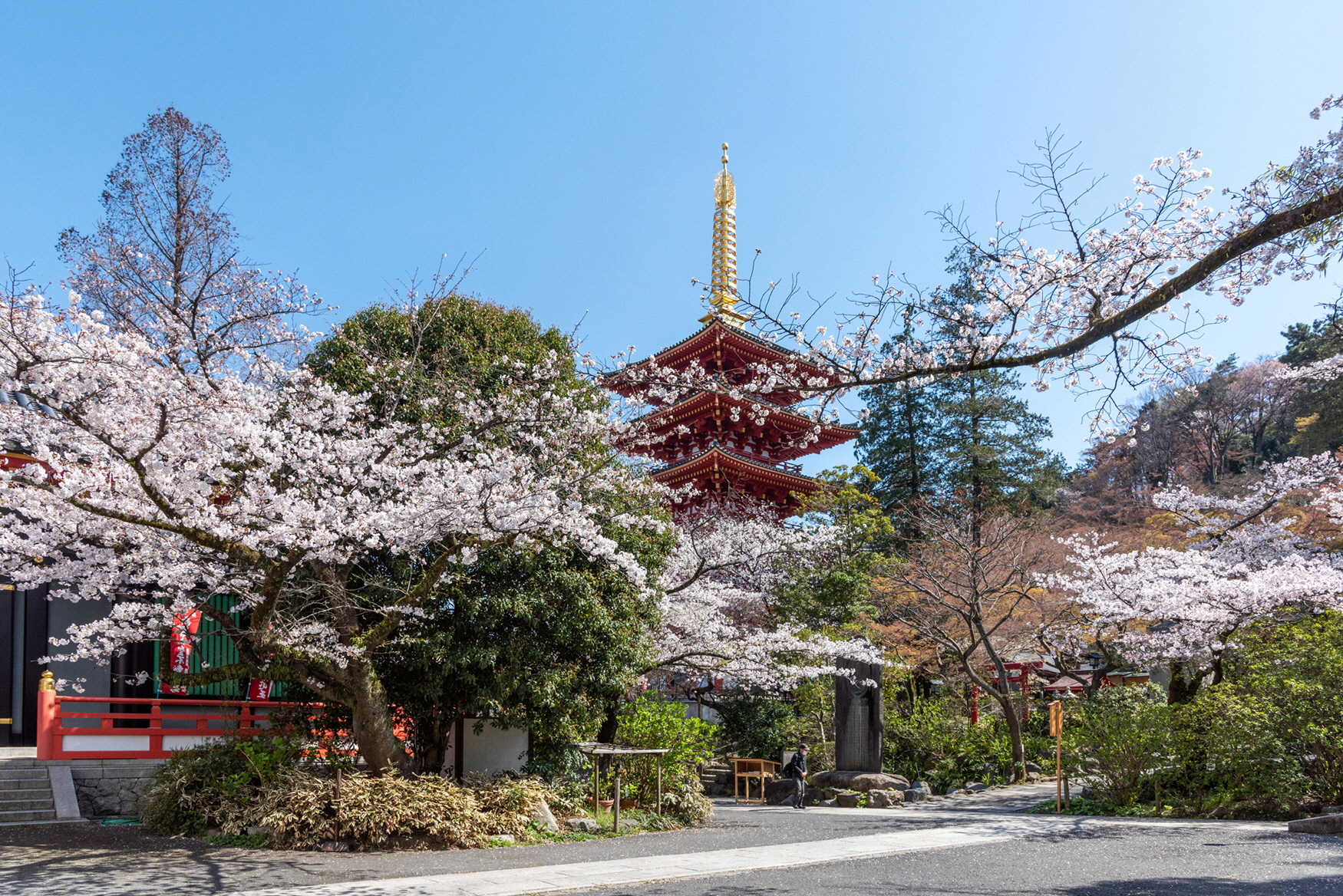 ファン必見！土方歳三の菩提寺　高幡不動尊