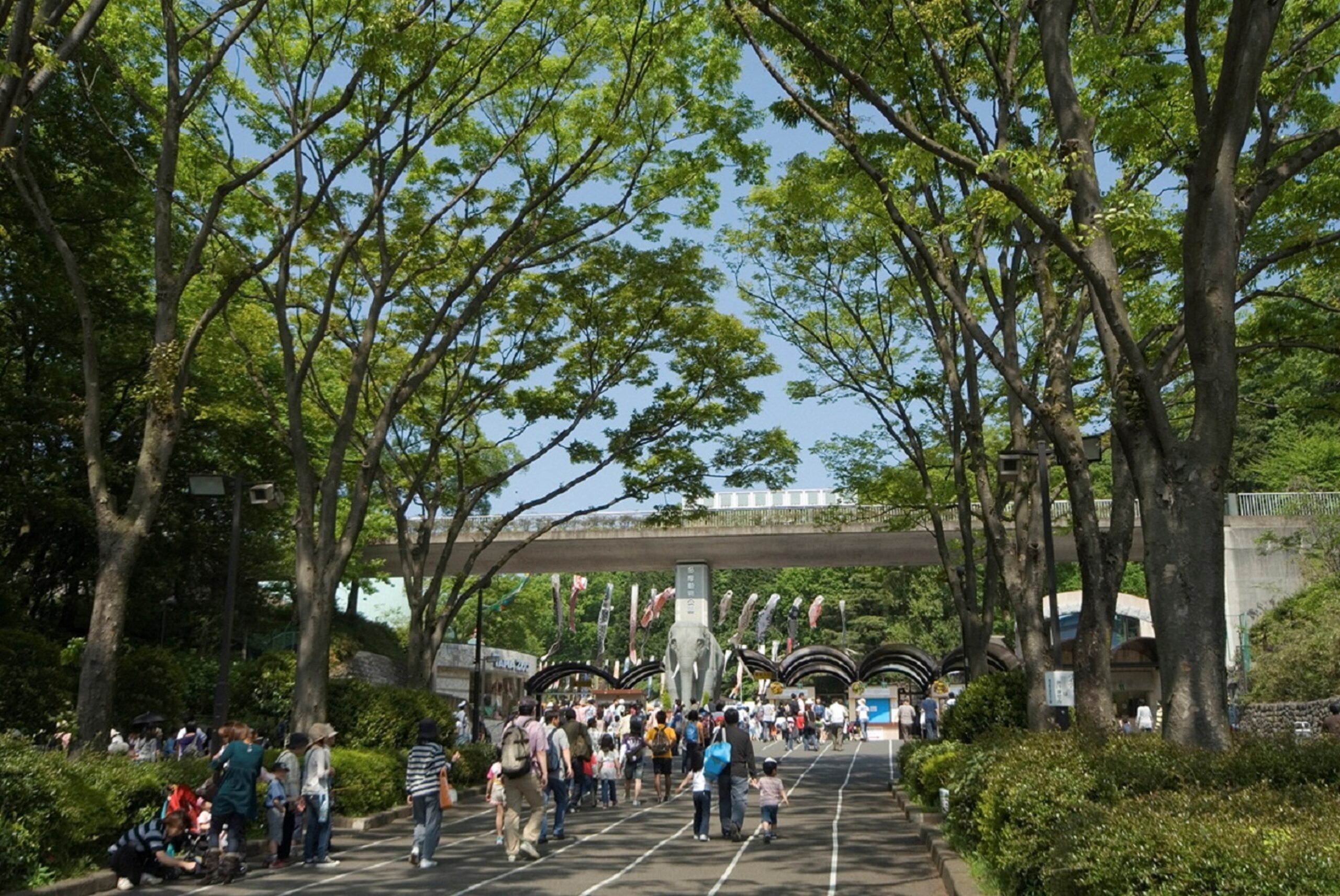 300種以上の動物たちに出会える<br>みんな大好き！多摩動物公園