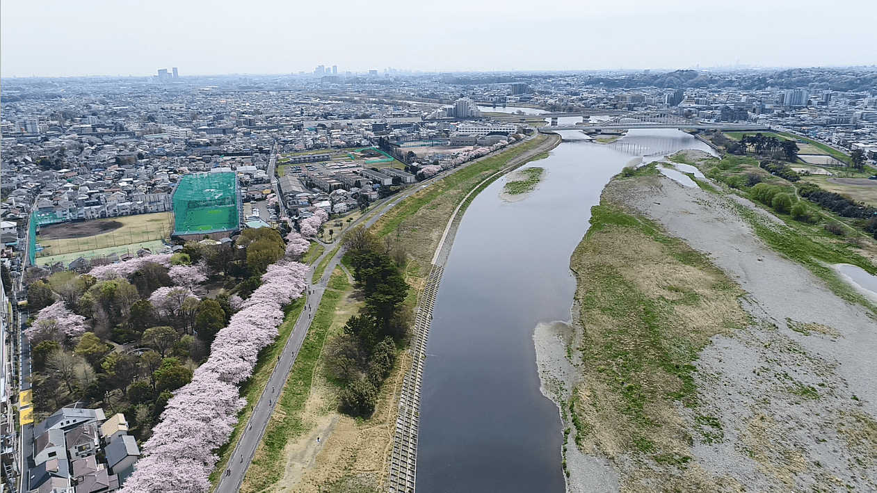 水と緑のまちなみ