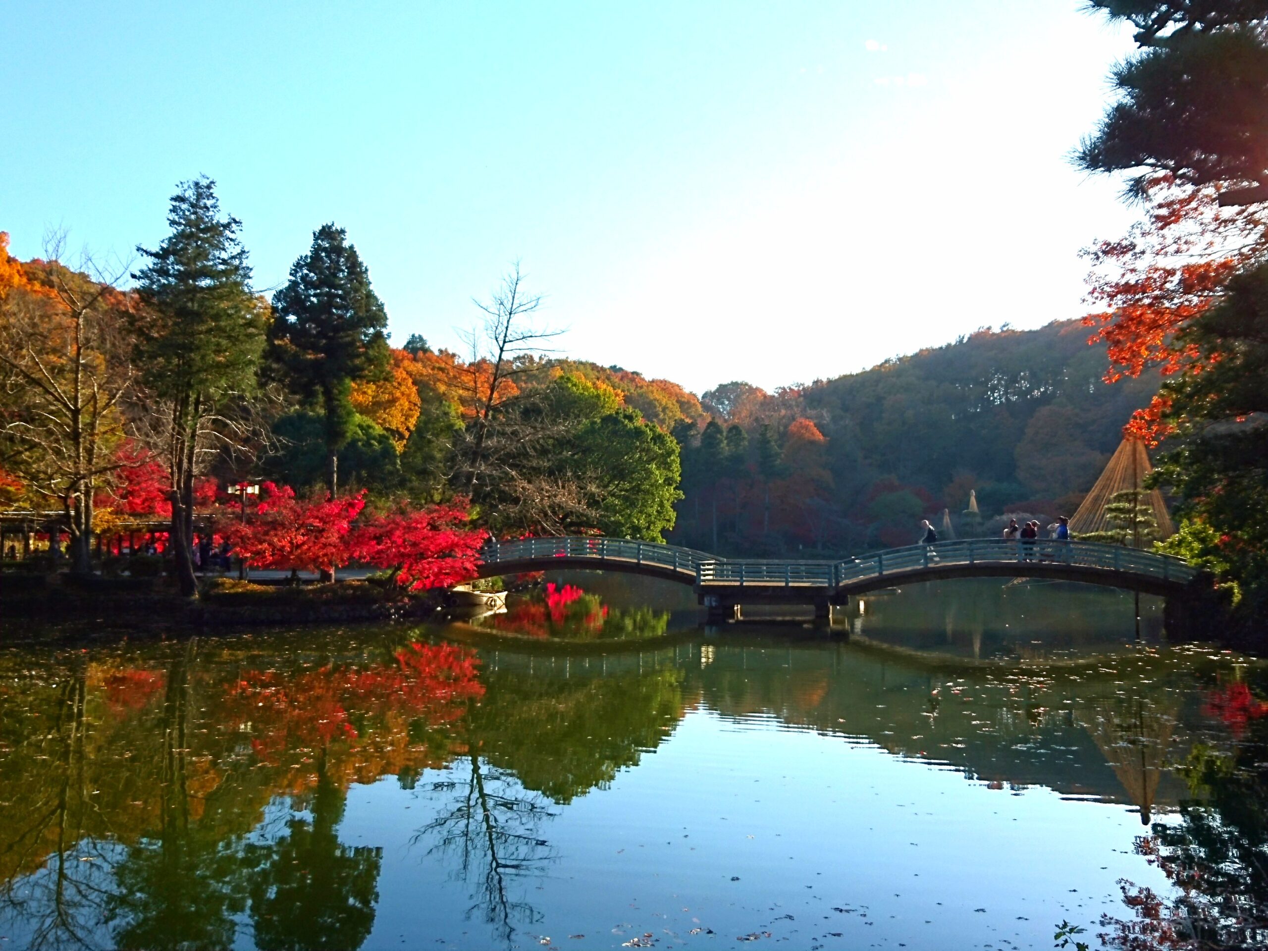 町田薬師池公園四季彩の杜