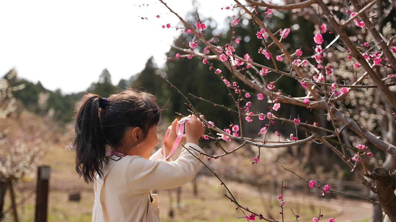 青梅市 概要写真