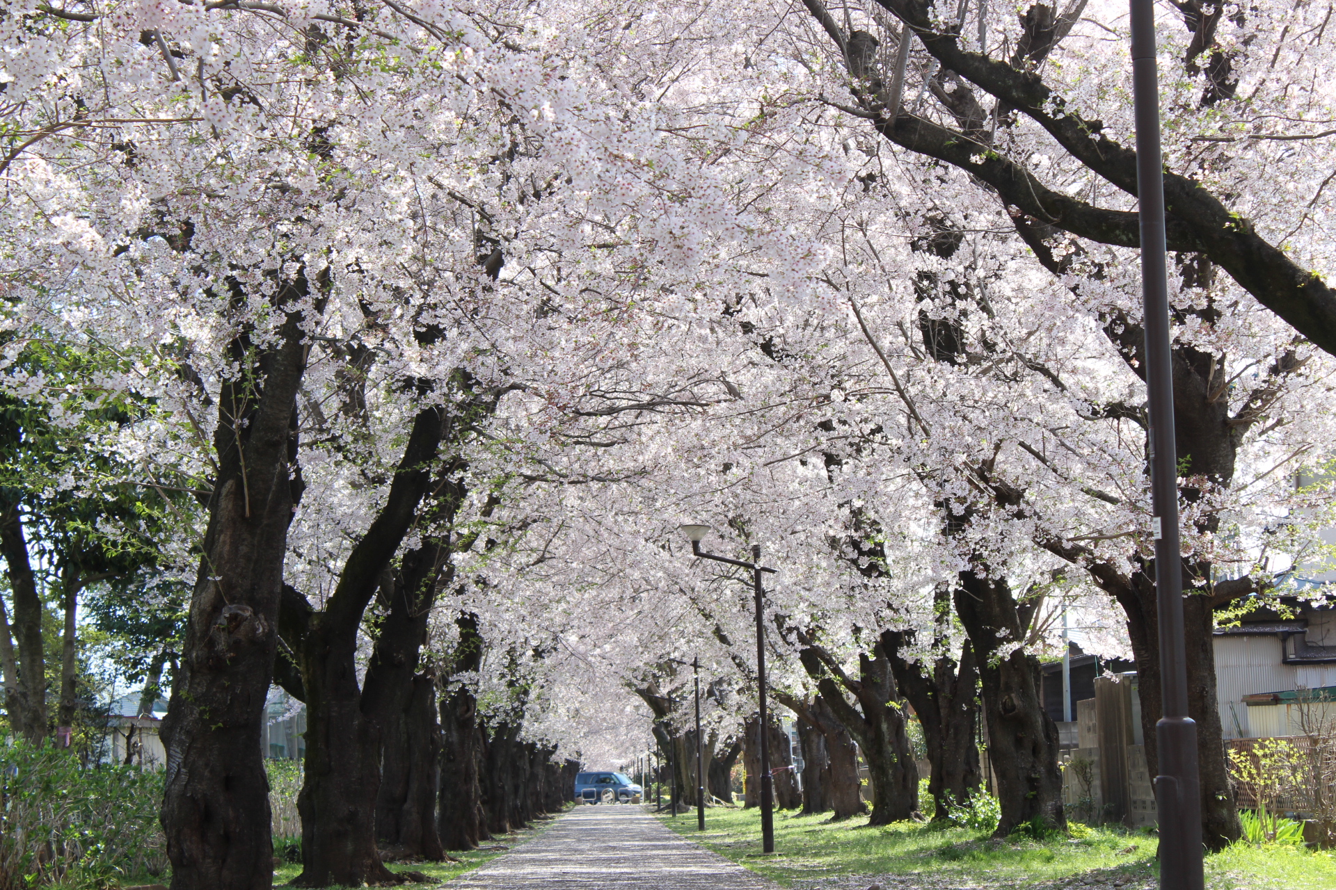 武蔵村山市 概要写真