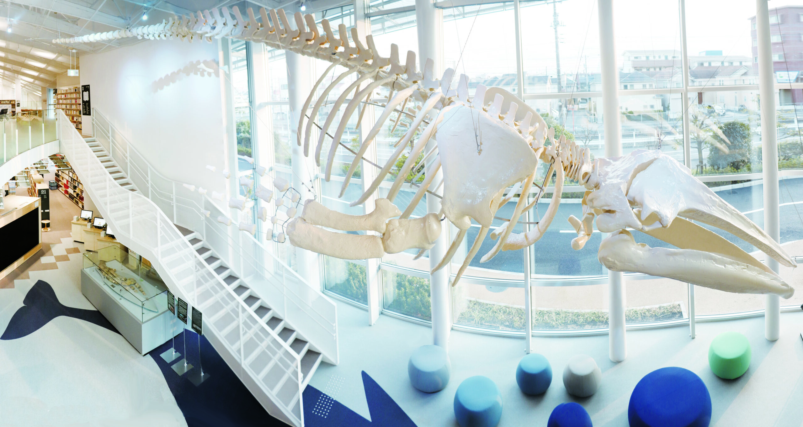 昭島市 概要写真